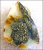 CLASSIC NIPOMO MARCASITE IN AGATE, FINE (USA) �41.96 CT.